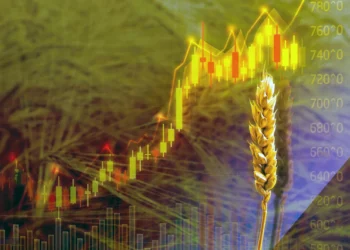 Trigo en alza: Ataque de Ucrania sacude los mercados