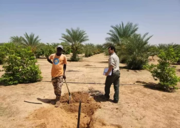 Delegación israelí combate la desertificación en Chad