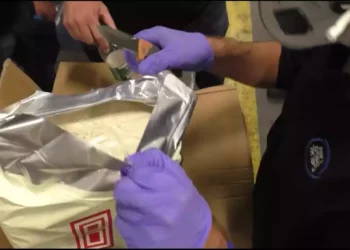 Policía israelí intercepta media tonelada de drogas MDMB