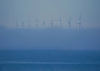 Subasta masiva de energía eólica marina en el Golfo de México