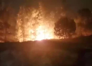 Incendio en Gush Etzion probablemente provocado por árabes