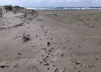 Decesos por ahogamiento en playas no autorizadas de Israel