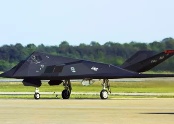 El alias del F-117A Nighthawk alguna vez fue “la Cucaracha”