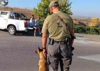 Unidad Canina detiene a infiltrados palestinos en el centro de Israel