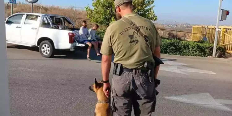 Unidad Canina detiene a infiltrados palestinos en el centro de Israel