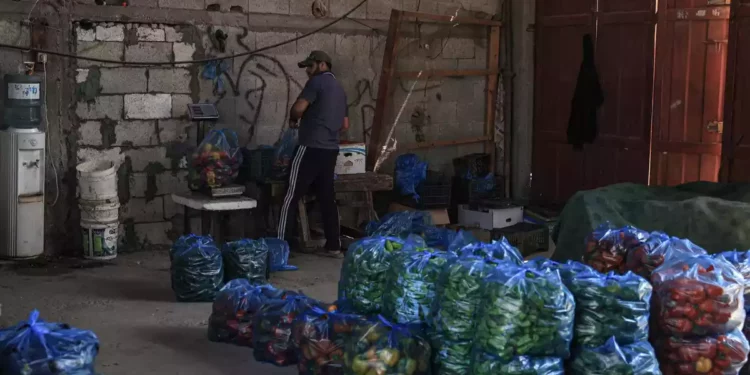 Empresas de Gaza afectadas por la suspensión de exportaciones