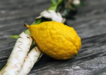 El etrog y su fascinante legado en la historia judía