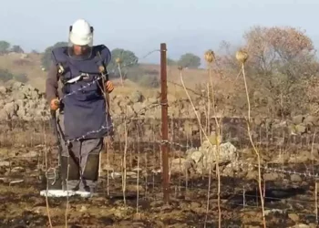 Ministerio de Defensa inicia retiro de minas en el norte de Israel