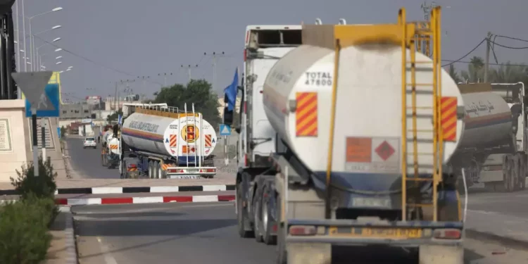 This aerial view shows humanitarian aid trucks arriving from Egypt after having crossed through the Rafah border crossing arriving at a storage facility in Khan Yunis in the southern Gaza Strip on October 21, 2023. - The first aid trucks arrived in war-torn Gaza from Egypt on October 21, bringing urgent humanitarian relief to the Hamas-controlled Palestinian enclave suffering what the UN chief labelled a "godawful nightmare". Israel has vowed to destroy Hamas after the Islamist militant group carried out the deadliest attack in the country's history on October 7. (Photo by Belal Al SABBAGH / AFP)