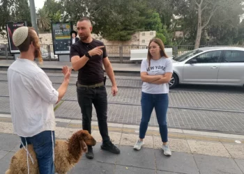 Activista israelí detenido en Jerusalén por intento de sacrificio