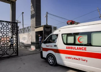Ambulancias del Ministerio de Sanidad palestino cruzan la puerta para entrar en el paso fronterizo de Rafah, en el sur de la Franja de Gaza, antes de cruzar a Egipto, el 1 de noviembre de 2023 (Mohammed ABED / AFP)