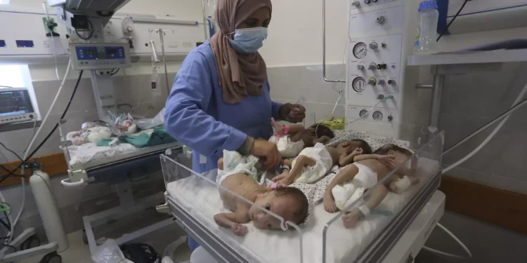 Una enfermera atiende a bebés palestinos nacidos prematuramente que fueron trasladados del hospital Shifa de la ciudad de Gaza al hospital de Rafah, Franja de Gaza, 19 de noviembre de 2023. (AP Photo/Hatem Ali)