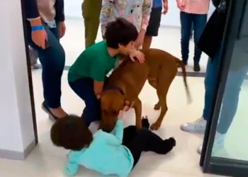 Niños liberados se reúnen con su perro en hospital Israelí