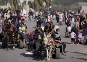 Palestinos huyen hacia el sur de la Franja de Gaza por la calle Salah al-Din en Bureij, designada como corredor humanitario por la FDI para escapar del norte de Gaza, 9 de noviembre de 2023. (AP Photo/Hatem Moussa)
