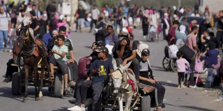 Palestinos huyen hacia el sur de la Franja de Gaza por la calle Salah al-Din en Bureij, designada como corredor humanitario por la FDI para escapar del norte de Gaza, 9 de noviembre de 2023. (AP Photo/Hatem Moussa)