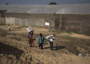 La UNICEF informa que niños y embarazadas en la Franja de Gaza luchan por cubrir sus necesidades nutricionales básicas.