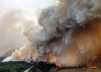 Incendio forestal amenaza plataformas petrolíferas y refinería de Texas