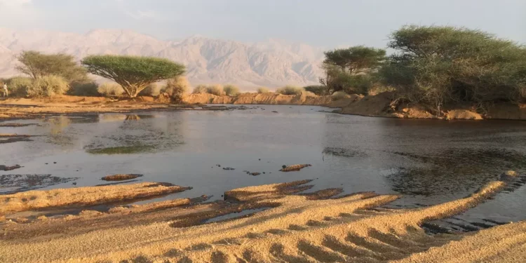 Multas a empresa y empleados por desastre ambiental en Israel