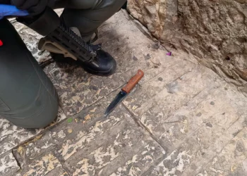 Ataque terrorista en Jerusalén: turista turco apuñala a un policía