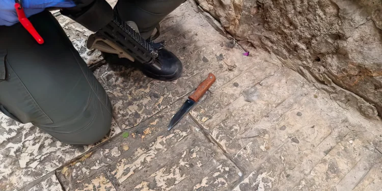 Ataque terrorista en Jerusalén: turista turco apuñala a un policía