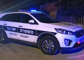 Identifican a autor de embestida nocturna contra policías en Israel