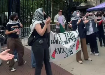 Policía holandesa despeja campus de Ámsterdam de manifestantes antiisraelíes