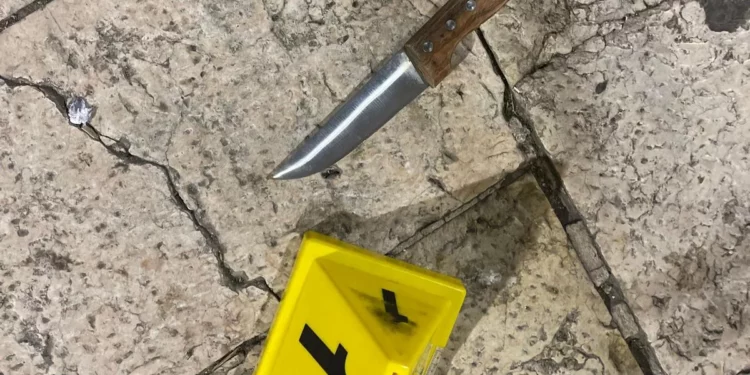 Terrorista neutralizado tras intento de apuñalamiento a policías en Jerusalén