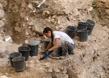 Semillas quemadas del Primer Templo revelan nuevos detalles