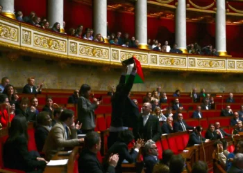 French leftist La France Insoumise (LFI) MP Sebastien Delogu waves a Palestinian national flag during a session of questions to the government at the National Assembly in Paris on May 28, 2024. (Miguel Medina/AFP)