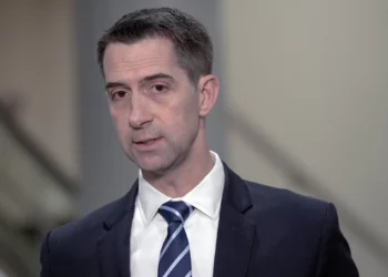 Tom Cotton acusa a Biden de retrasar entregas de armas a Israel