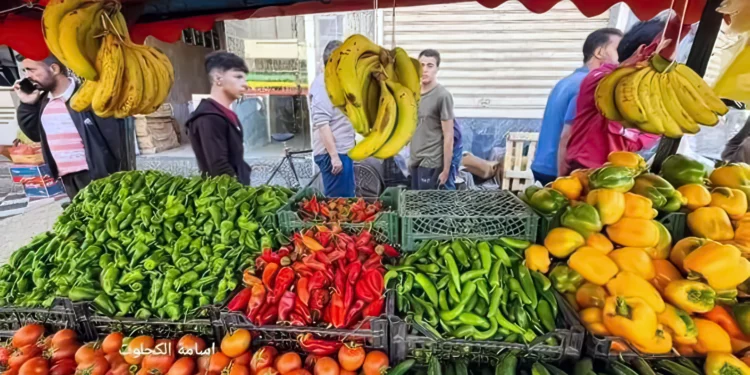 Desmontando el mito de la hambruna en Gaza