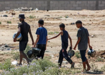 Un hombre y tres niños caminan con ollas de camino a una cocina benéfica para recoger alimentos, al noroeste de Rafah, en el sur de la Franja de Gaza, el 24 de junio de 2024. (Bashar Taleb/AFP)