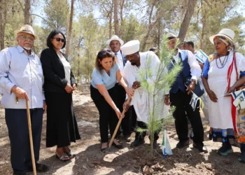 Keren Kayemeth LeIsrael-Jewish National Fund (KKL-JNF)