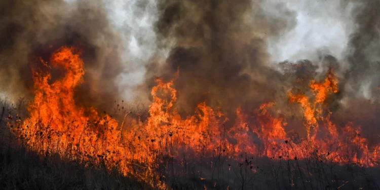 Humo e incendios provocados por cohetes y drones disparados desde el Líbano, en la ciudad norteña de Katzrin, el 4 de julio de 2024 (Michael Giladi/Flash90)