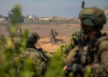 Las tropas operan en la Franja de Gaza en una fotografía autorizada para su publicación el 9 de agosto de 2024. (Fuerzas de Defensa de Israel)