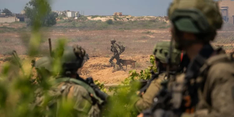 Las tropas operan en la Franja de Gaza en una fotografía autorizada para su publicación el 9 de agosto de 2024. (Fuerzas de Defensa de Israel)