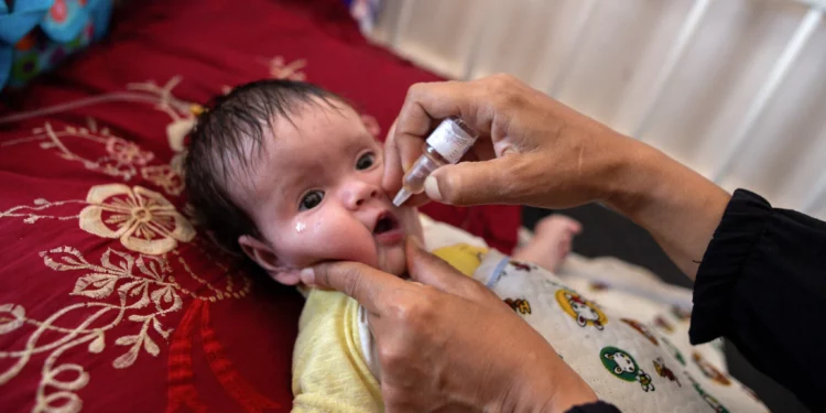 Una enfermera administra gotas de la vacuna contra la polio a un joven paciente palestino en el Hospital Nasser de Khan Younis, en el sur de la Franja de Gaza, el 31 de agosto de 2024. (Jihad Al-Sharafi / AFP)