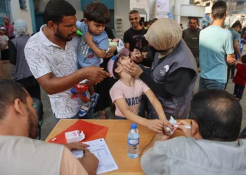 Médicos palestinos administran vacunas contra la polio a niños en la clínica del barrio de al-Daraj en la ciudad de Gaza el 10 de septiembre de 2024. (Omar AL-QATTAA / AFP)