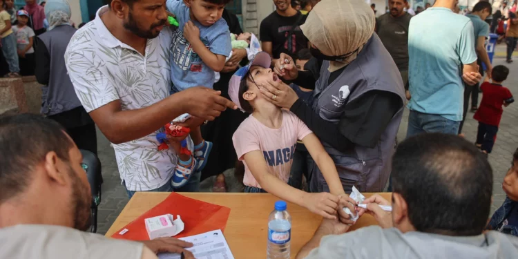 Médicos palestinos administran vacunas contra la polio a niños en la clínica del barrio de al-Daraj en la ciudad de Gaza el 10 de septiembre de 2024. (Omar AL-QATTAA / AFP)