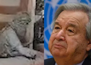 Israel destaca el silencio de Guterres tras la muerte de Sinwar