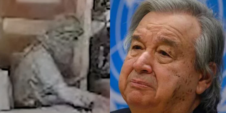 Israel destaca el silencio de Guterres tras la muerte de Sinwar