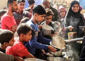 Gazatíes recogen ayuda alimentaria en el campamento de Bureij, en el centro de la Franja de Gaza, el 6 de noviembre de 2024. (Eyad Baba/AFP)