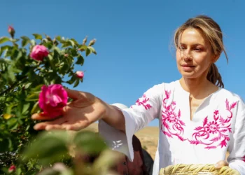 La primera dama de Siria, Asma al-Assad, esposa del presidente sirio Bashar al-Assad, recoge rosas durante el Festival de la Cosecha de la Rosa de Damasco en la aldea de al-Marah, en la región montañosa de Qalamoun, Siria, el jueves 25 de mayo de 2023. (Foto AP/Omar Sanadiki)