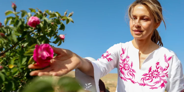 La primera dama de Siria, Asma al-Assad, esposa del presidente sirio Bashar al-Assad, recoge rosas durante el Festival de la Cosecha de la Rosa de Damasco en la aldea de al-Marah, en la región montañosa de Qalamoun, Siria, el jueves 25 de mayo de 2023. (Foto AP/Omar Sanadiki)