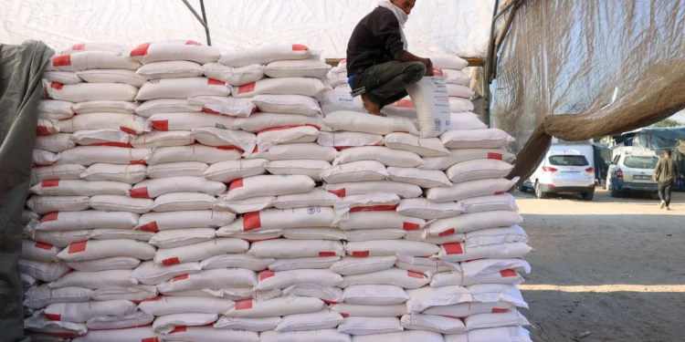 Un trabajador palestino descansa sobre una pila de harina en un centro de distribución de ayuda en la ciudad de Jan Yunis, en el sur de la Franja de Gaza, el 3 de diciembre de 2024, en medio de la guerra en curso entre Israel y Hamás. (Foto de BASHAR TALEB / AFP)