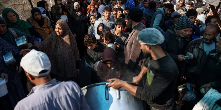 Palestinos desplazados hacen fila para recibir alimentos en un centro de distribución en Deir el-Balah, en el centro de la Franja de Gaza, el 26 de noviembre de 2024 (BASHAR TALEB / AFP)