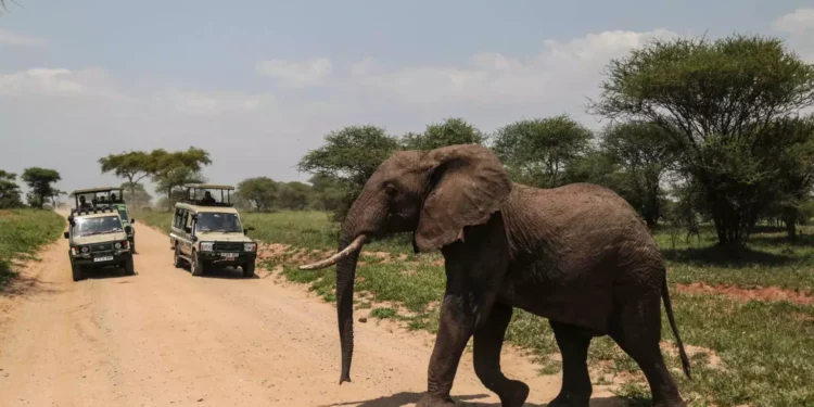 Israelí muere y cinco familiares heridos en accidente de jeep en Tanzania