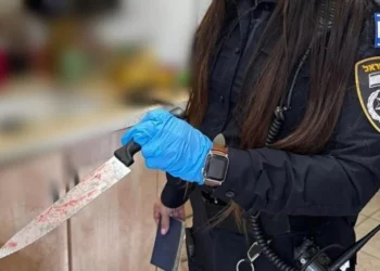 Un agente de policía sostiene un cuchillo utilizado por una mujer para apuñalar a su pareja durante un altercado doméstico en Jerusalén, el 12 de enero de 2025. (Unidad del Portavoz de la Policía de Israel)