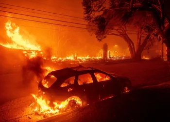 ARCHIVO - El incendio de Palisades quema vehículos y estructuras en el vecindario de Pacific Palisades en Los Ángeles, el 7 de enero de 2025. (Foto AP/Ethan Swope, Archivo)