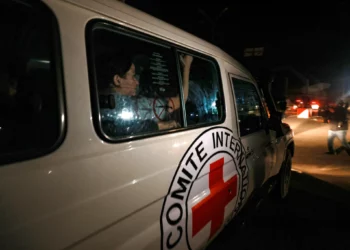 Un vehículo de la Cruz Roja que transporta a rehenes recién liberados se dirige hacia el punto fronterizo de Rafah con Egipto, en el sur de la Franja de Gaza, el 28 de noviembre de 2023. (MOHAMMED ABED / AFP)